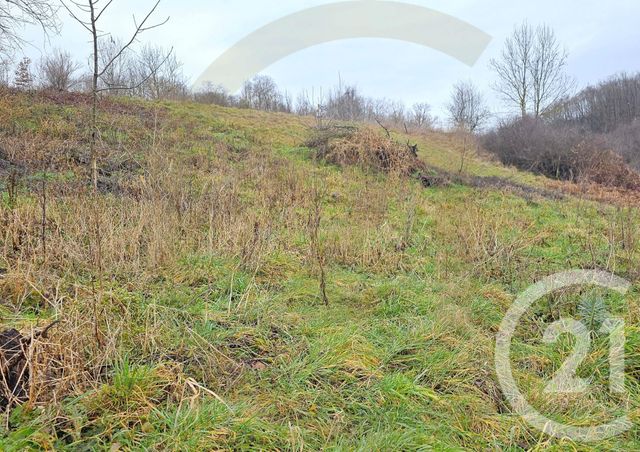 terrain à vendre - 1155.0 m2 - MEYRIEU LES ETANGS - 38 - RHONE-ALPES - Century 21 Immobilier Batigimm